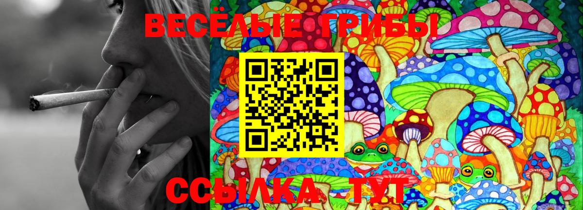 Псилоцибиновые грибы Magic Shrooms  Вход с VPN  Ржев 